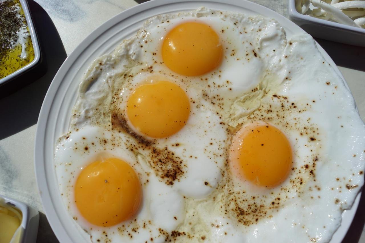 Brabo Lägenhet Landskrone Exteriör bild